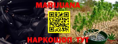 крисы Лесосибирск