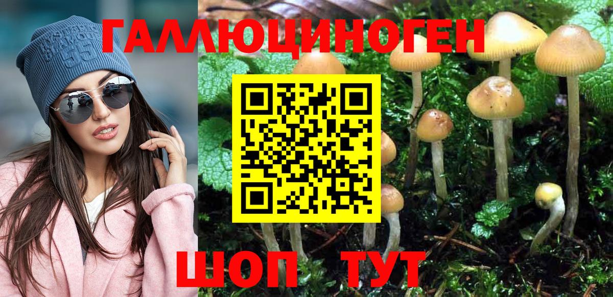 Юрга  Галлюциногенные грибы ЛСД  Вход с VPN 